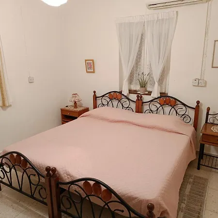 The Grapevine * פאפוס